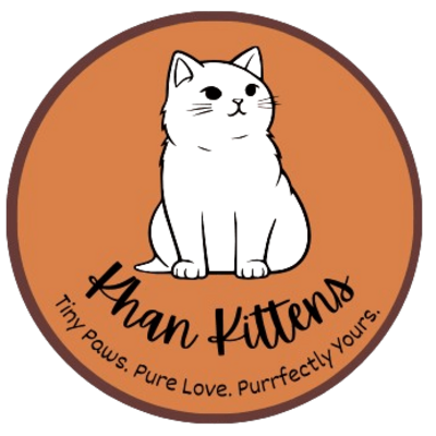 Khan kittens